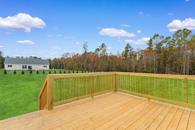 121 Feather Dr, Georgetown, SC 29440 - photo 6