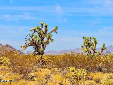 20241105064512426264000000-o