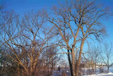 N8607 Freidig Rd, Brooklyn, WI 53521 - photo 2