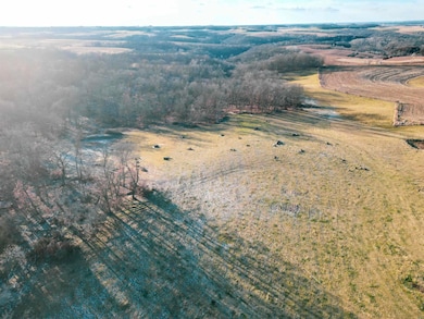 000 Tbd Lycurgus Rd, Waukon, IA 52172 - photo 4