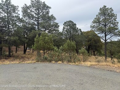 Lot #30 Cougar Ln unit 4, Alto, NM 88312 - photo 2