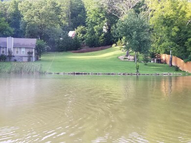 View from Water