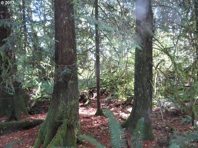 0 Klein Rd unit 17550674, Napavine, WA 98565 - photo 7