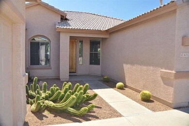 3670 S. Velero Chandler 004