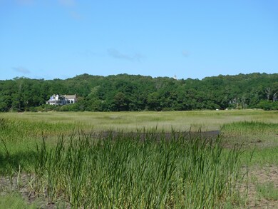 marsh view below