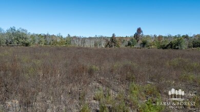 xx1 Seay Rd, Cottondale, FL 32431 - photo 3