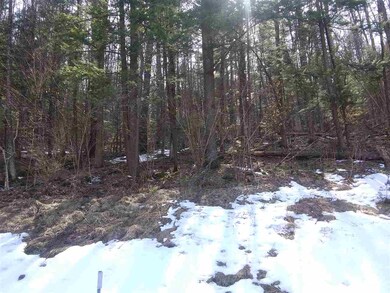 0 Rt 12a & Murphy Hill Extension unit 4682063, Alstead, NH 03602 - photo 2