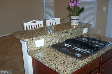 25129 Pennywort Terrace, Stone Ridge, VA 20105 - photo 6