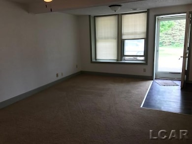 2200 E Gier Rd, Adrian, MI 49221 - photo 5