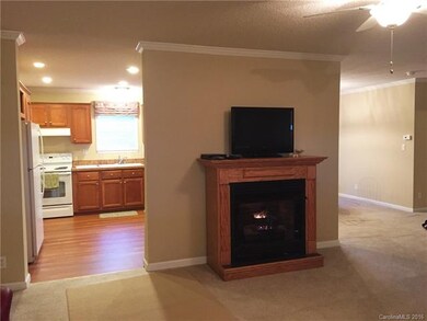 126 Peaceful Valley Dr, Leicester, NC 28748 - photo 3