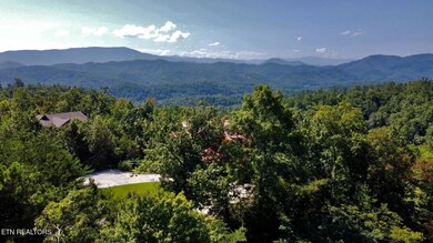 IMG_7417