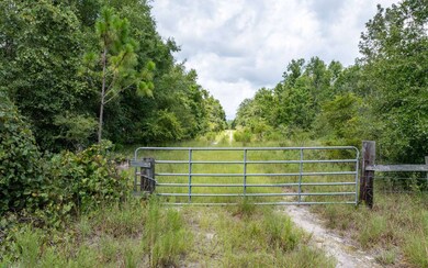 TBD NE 185th Rd, Live Oak, FL 32060 - photo 4