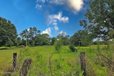 155 Glen Vincent Rd, Lucedale, MS 39452 - photo 6