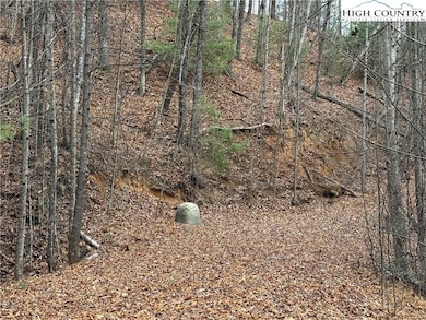 Lot 218 Casey Mountain Rd, Purlear, NC 28665 - photo 6