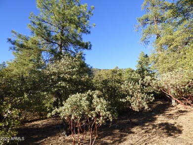 P1040477