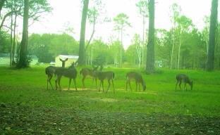 7134 Hall Rd, Coolidge, GA 31738 - photo 2