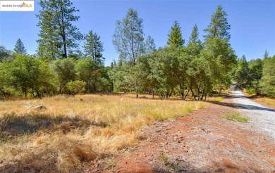 Par B Sawmill Flat Rd, Sonora, CA 95370 - photo 3