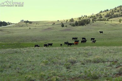0 State Hwy unit 2777877, Guffey, CO 80820 - photo 4
