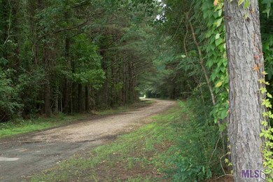Lovely tree tunnel driveway.