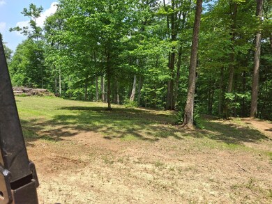 IMG_20250609_124540 (3)