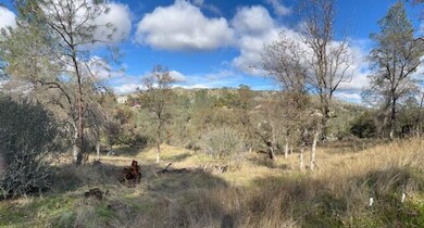 28729 Long Hollow Ct S, Yosemite Lakes, CA 93614 - photo 4