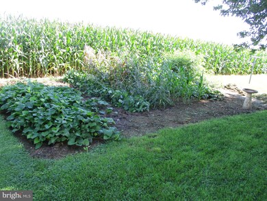 981 W Main St, New Holland, PA 17557 - photo 6