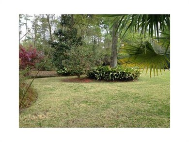 Backyard.