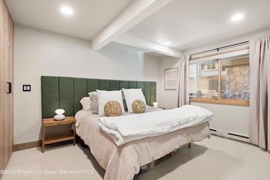 131 E Durant Ave unit 208, Aspen, CO 81611 - photo 7