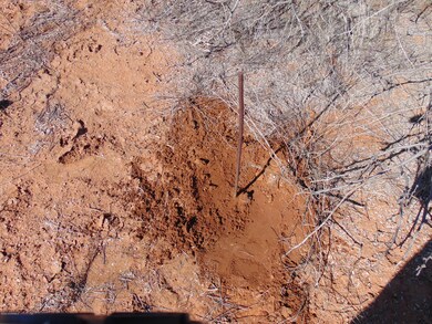 unlisted-address, Cornville, AZ 86325 - photo 5