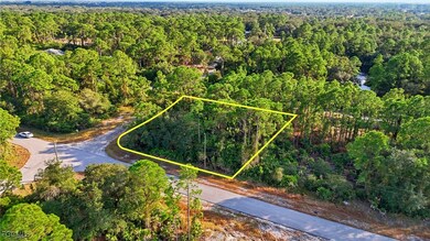 2430 Mabry St, Lehigh Acres, FL 33920 - photo 4