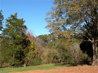 Large Backyard with Mature Trees