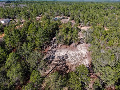 DJI_0185
