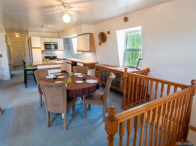 2903 S Spring Gulch Rd, Idaho Springs, CO 80452 - photo 5