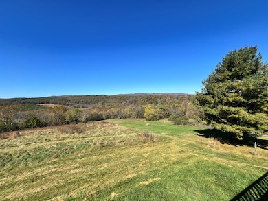 2616 Pope Rd, Ivanhoe, VA 24350 - photo 2