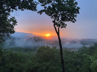 195 Hoot Owl Ridge, Morganton, GA 30560 - photo 3