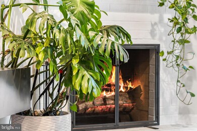 907 S Rolfe St, Arlington, VA 22204 - photo 7