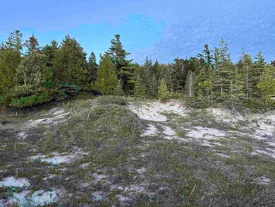 TBD Mrs Reddings Trail unit Parcel 5, Beaver Island, MI 49782 - photo 7