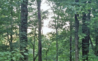 Additional View