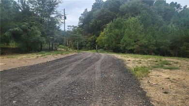 View of dirt / gravel road featuring a forest view