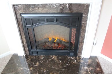 Electric Fire place