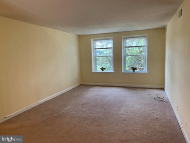 4623 31st Rd S unit B1, Arlington, VA 22206 - photo 5