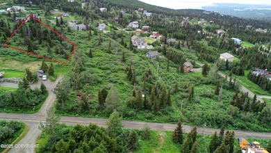 L14A B10H Harwood Cir, Anchorage, AK 99516 - photo 3