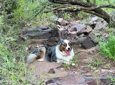 Great Place to Relax