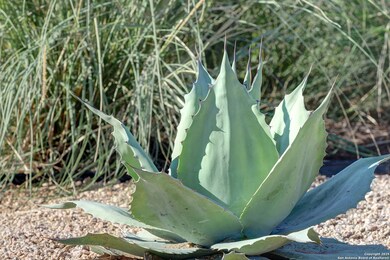 724 Alta Cir, New Braunfels, TX 78132 - photo 7
