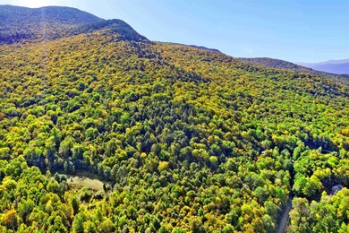 0 Pinnacle Meadow Rd unit 4971491, Stowe, VT 05672 - photo 4