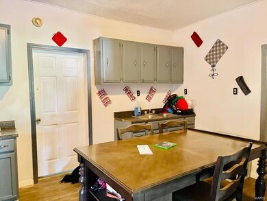 930 2nd St, New Madrid, MO 63869 - photo 2