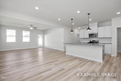 47 Baldwin St, Lillington, NC 27546 - photo 4