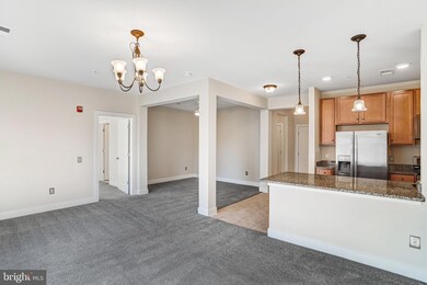 9523 Bastille St unit 207, Fairfax, VA 22031 - photo 3
