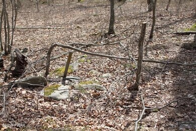 220 Mountain Top Rd, Lackawaxen, PA 18435 - photo 7