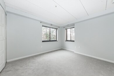 54 Concord Ave unit 203, Cambridge, MA 02138 - photo 6